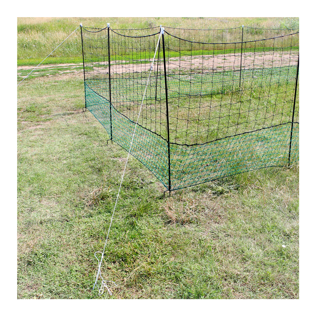 Plasa pasari curte 1.25x21m Breckner Germany - imagine 3