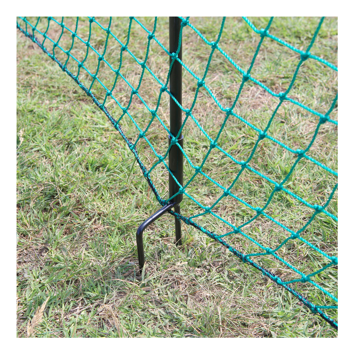 Plasa pasari curte 1.25x21m Breckner Germany - imagine 4