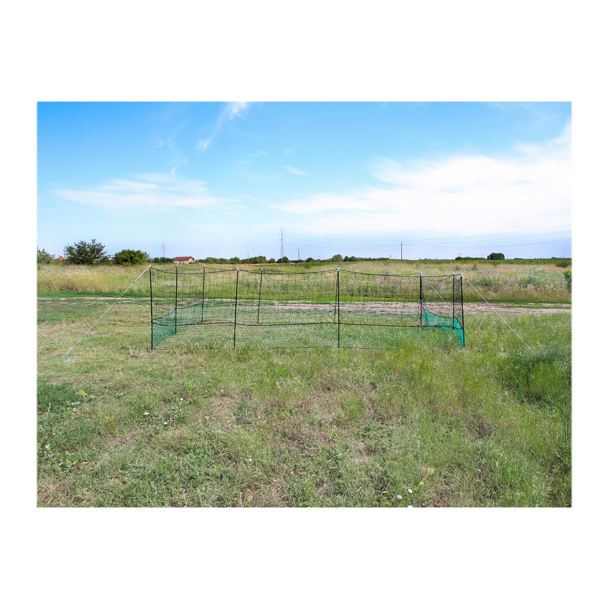 Plasa pasari curte 1.25x21m Breckner Germany - imagine 2