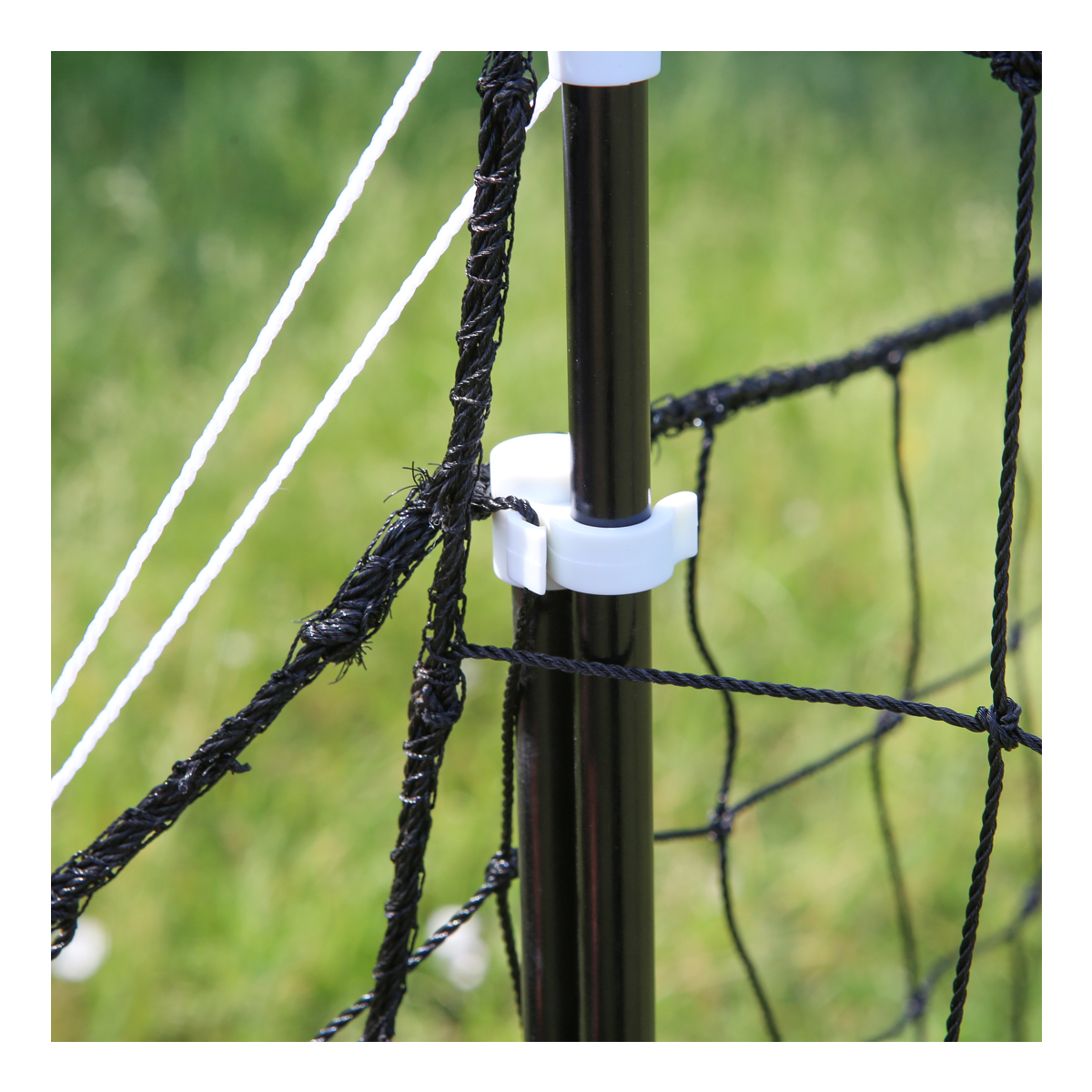 Plasa pasari curte 1.25x21m Breckner Germany - imagine 7