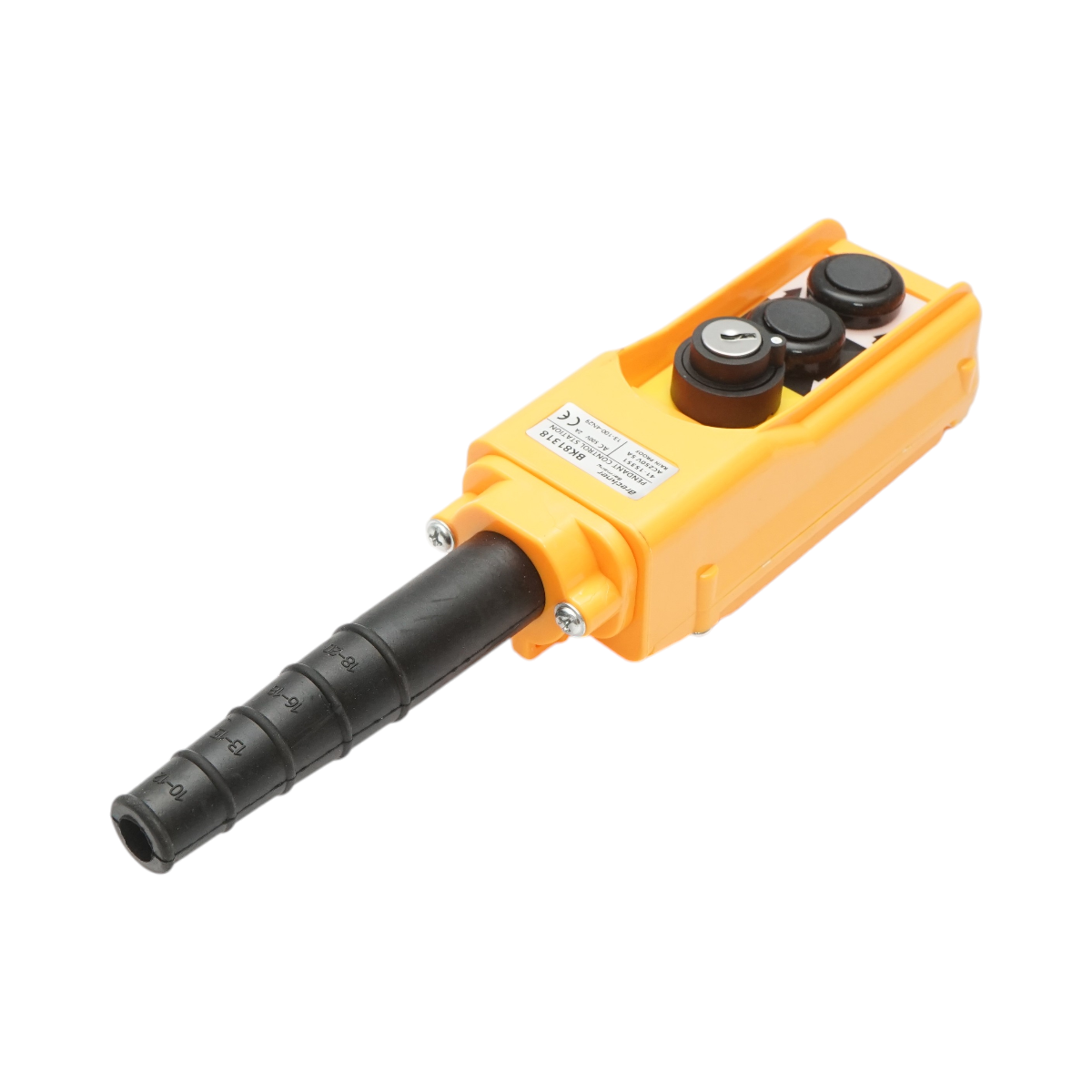 Telecomanda industriala cu 2 comenzi si contact general cu cheie AC 250V/5A-500V/2A Breckner Germany - imagine 4