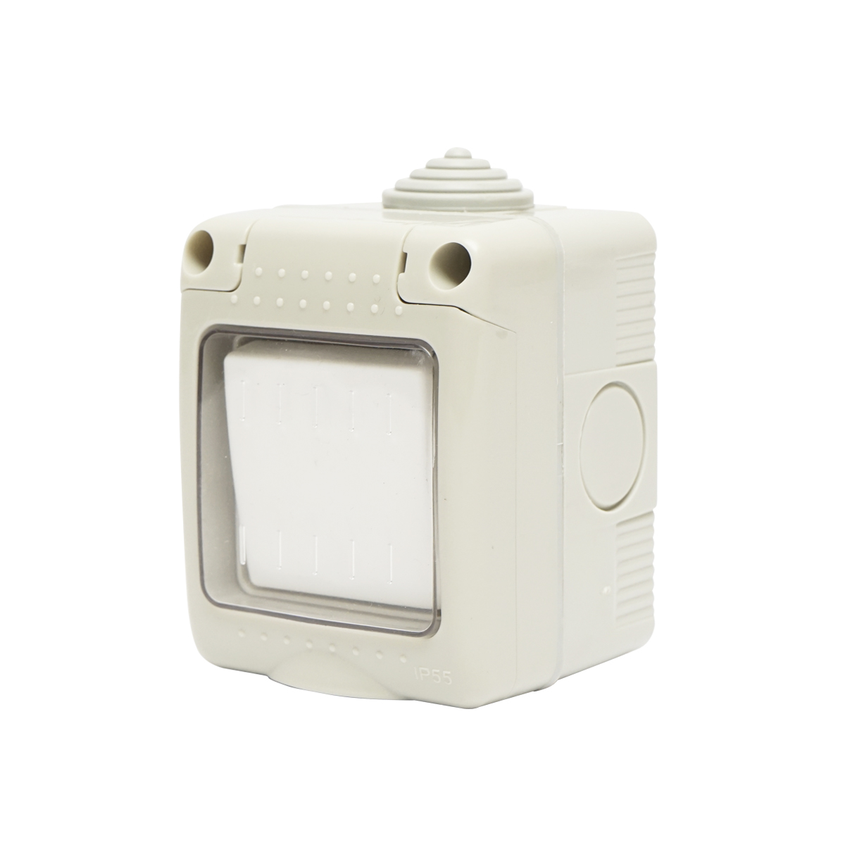 Intrerupator simplu aplicat PT IP55, 10AX, 250V Breckner Germany