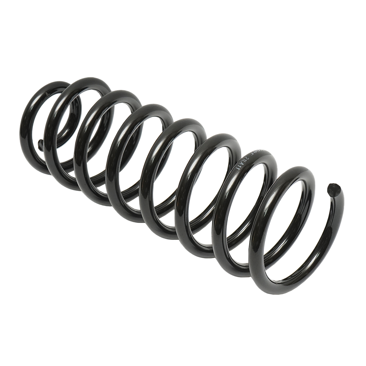 Arc spate Dacia Logan 6001547493 - imagine 2