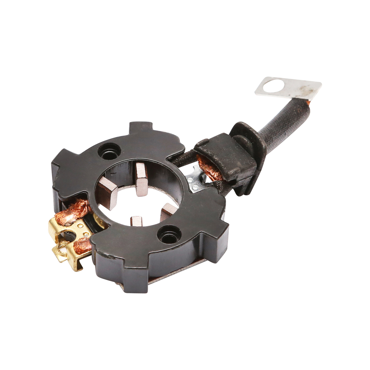 Platou perii electromotor Dacia Logan 1.5dCi E3 - imagine 4