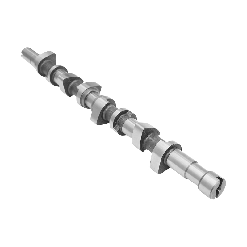 Ax cu came Renault Kangoo, Dacia Papuc 1.9D, Solenza F8Q 1.9 Diesel