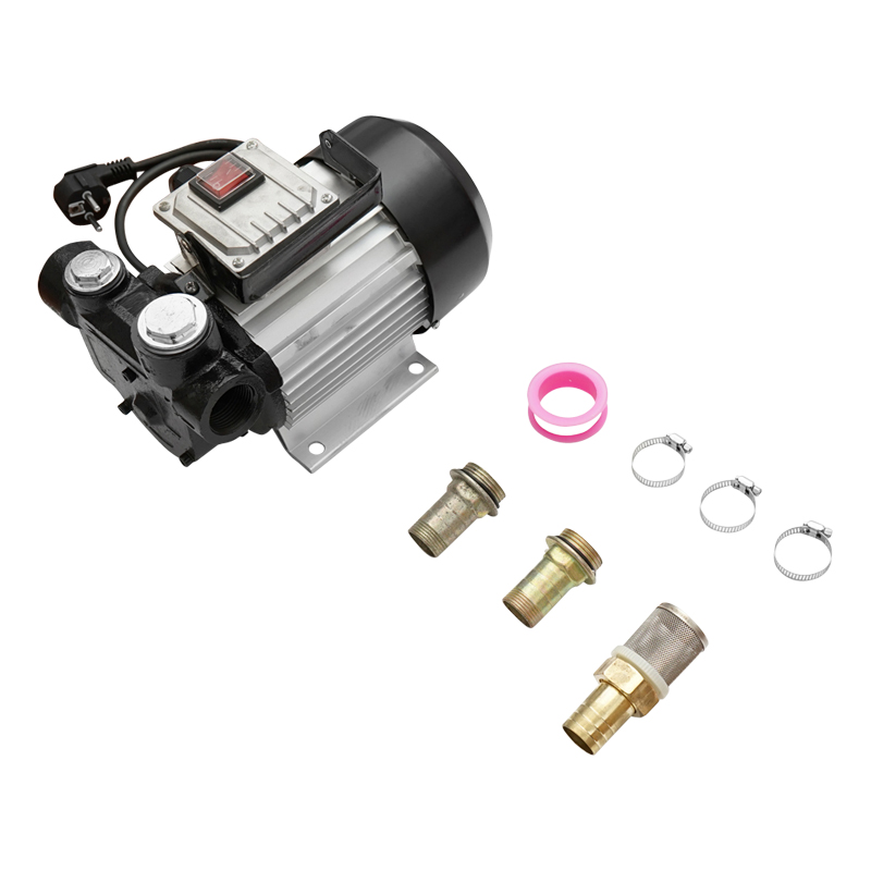 Pompa transfer motorina 220V 550W debit 60L/min Breckner Germany