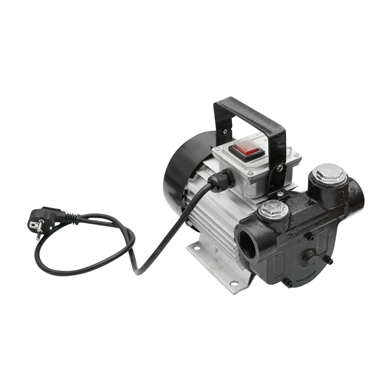 Pompa transfer motorina 220V 550W debit 60L/min Breckner Germany - imagine 4