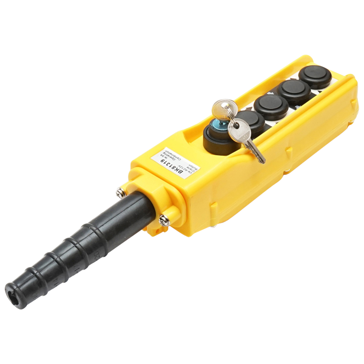 Telecomanda industriala cu 4 comenzi si contact general cu cheie 12V Breckner Germany - imagine 2