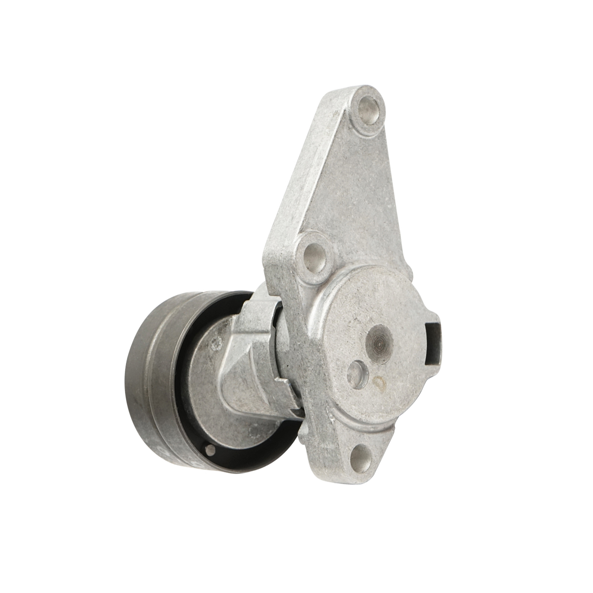 Intinzator curea transmisie John Deere, Renalt cod OEM AL110621, 7700042267, 7700061630, 534063210 - imagine 5