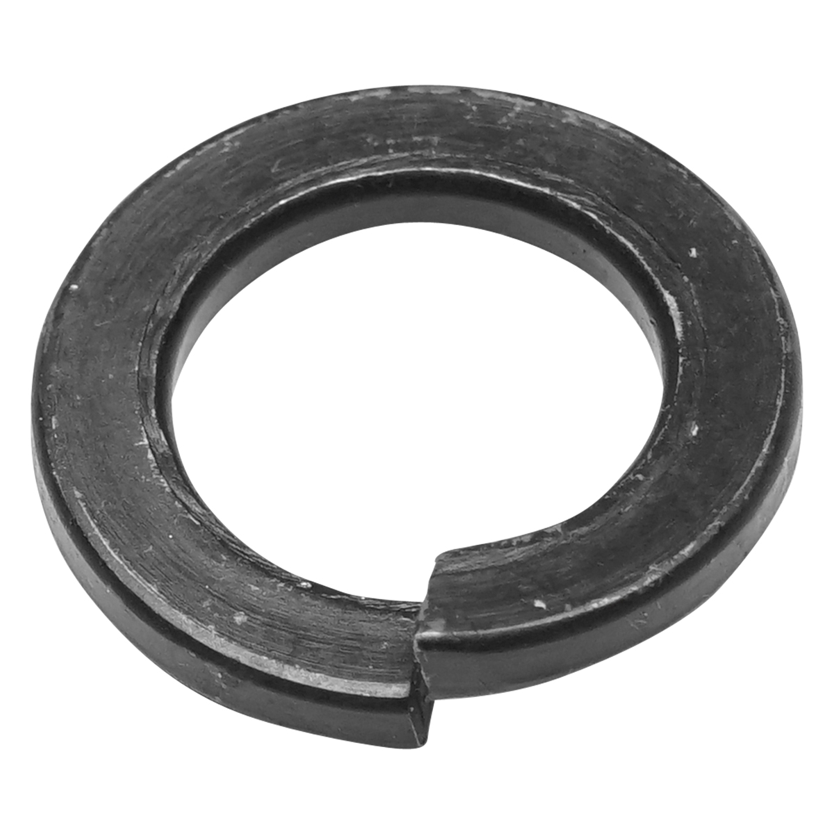 Saiba elastica Grower neagra DIN 127 M20 100 buc/punga - imagine 2