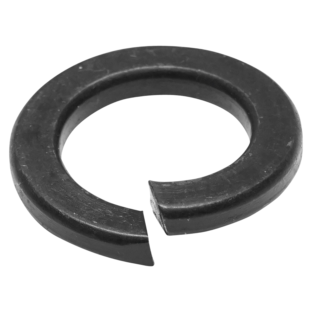 Saiba elastica Grower neagra DIN 127 M25 50 buc/punga - imagine 2