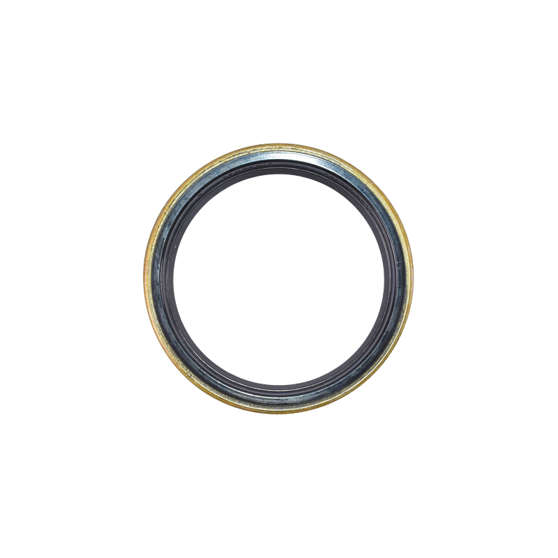 Simering metalic 60x74x10 - imagine 3