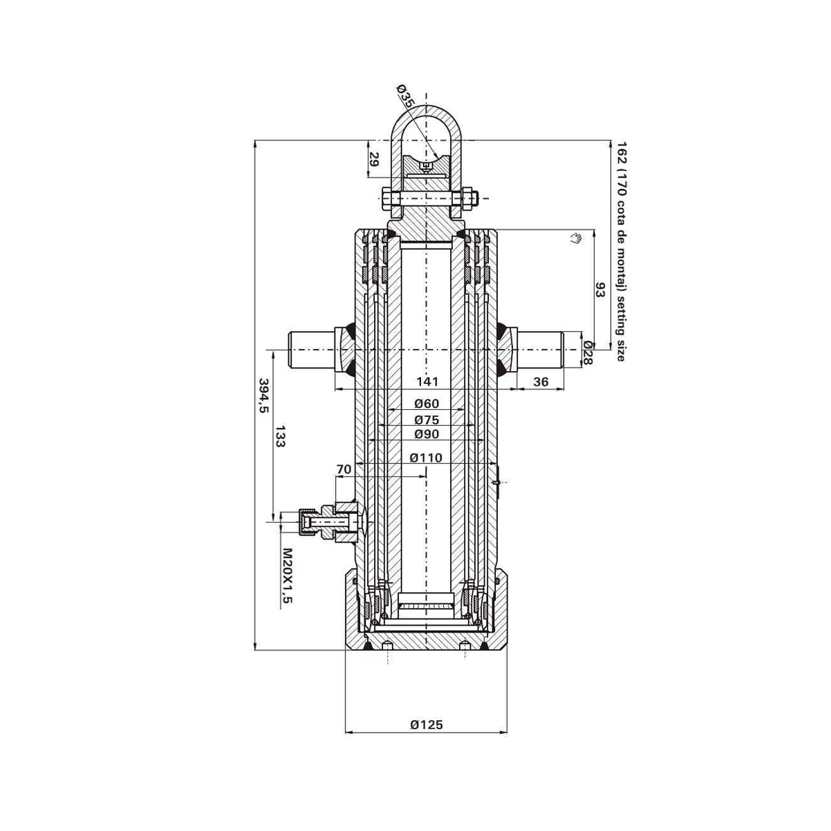 Cilindru hidraulic telescopic remorca 5T 3 trepte - imagine 4