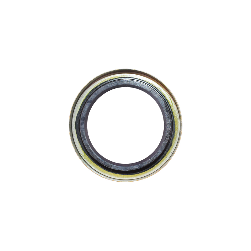 Simering metalic 48x69x10 - imagine 2