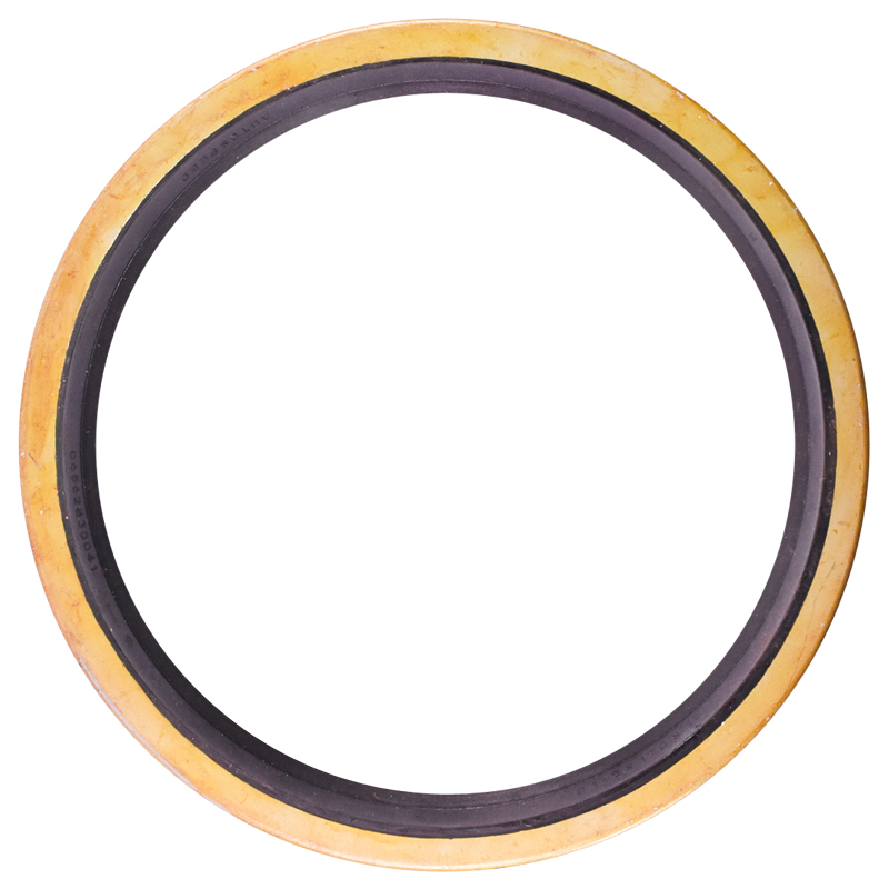 Simering 145x170x15 axa portanta RABA fi100 - imagine 3