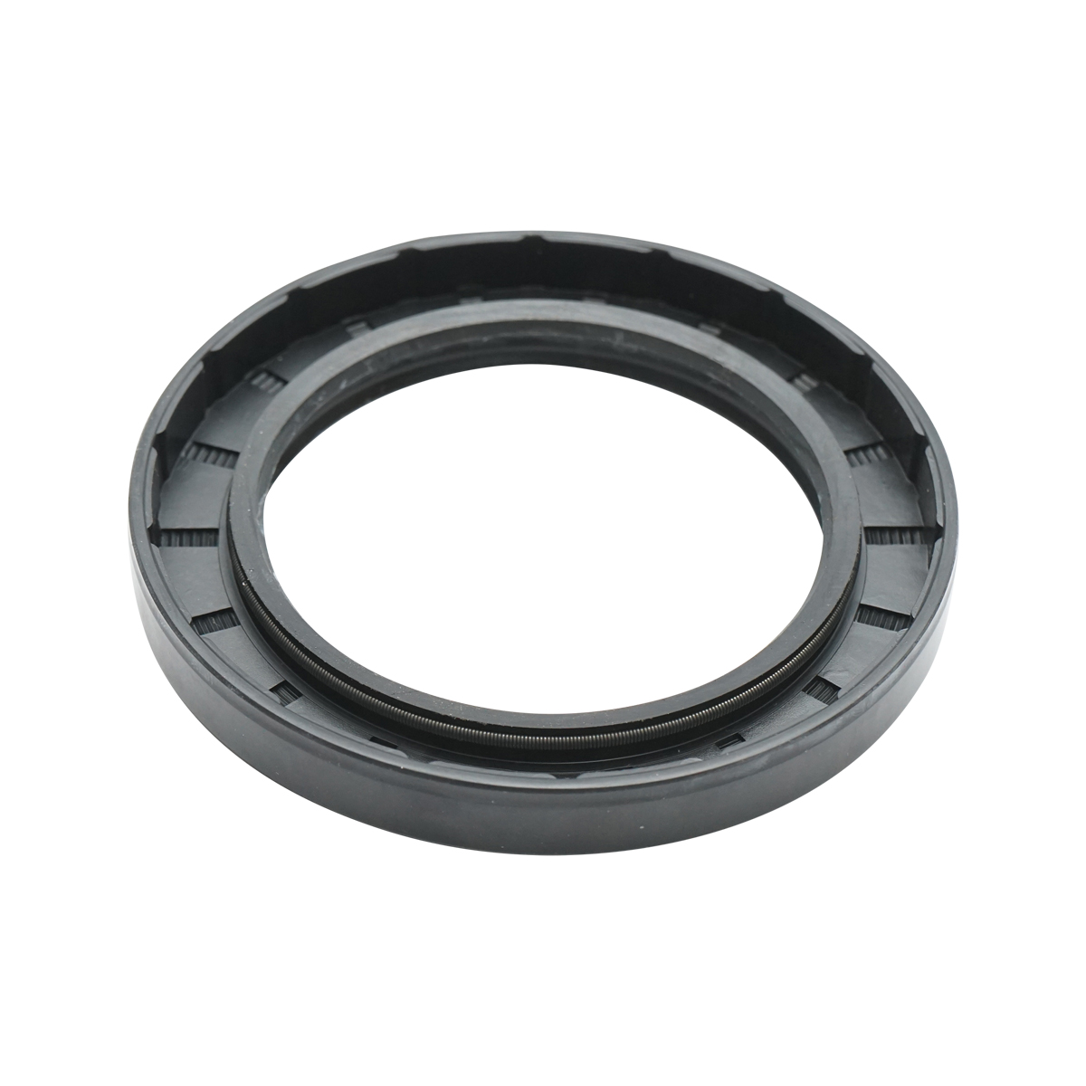 Semering 70x100x12mm - imagine 3