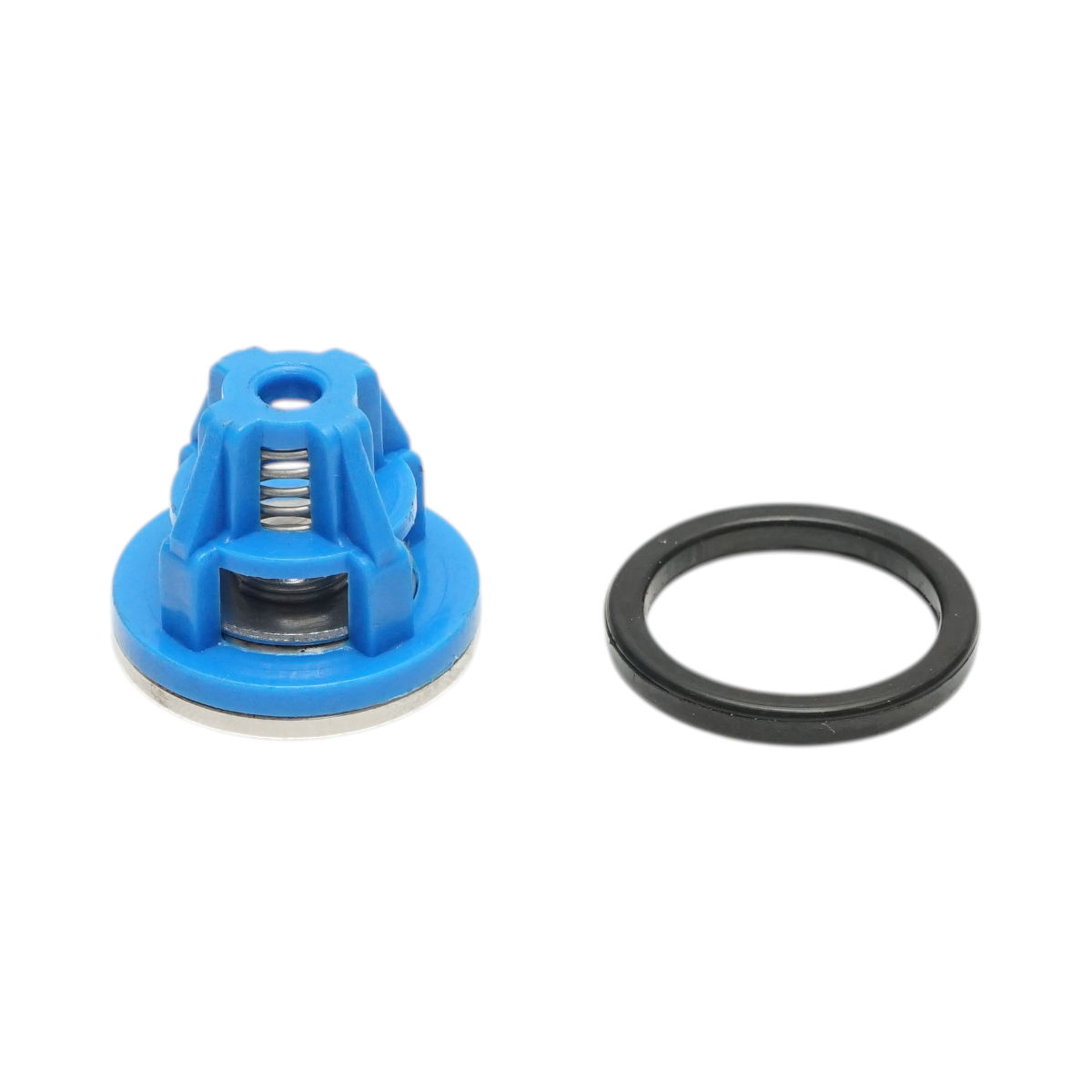 Supapa retinere pompa diafragmatica 32mm pentru erbicidator - imagine 2