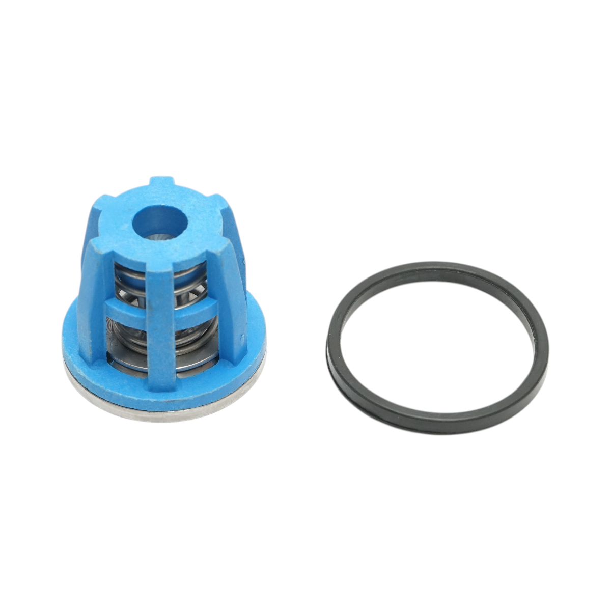 Supapa retinere pompa diafragmatica 46mm pentru erbicidator - imagine 2