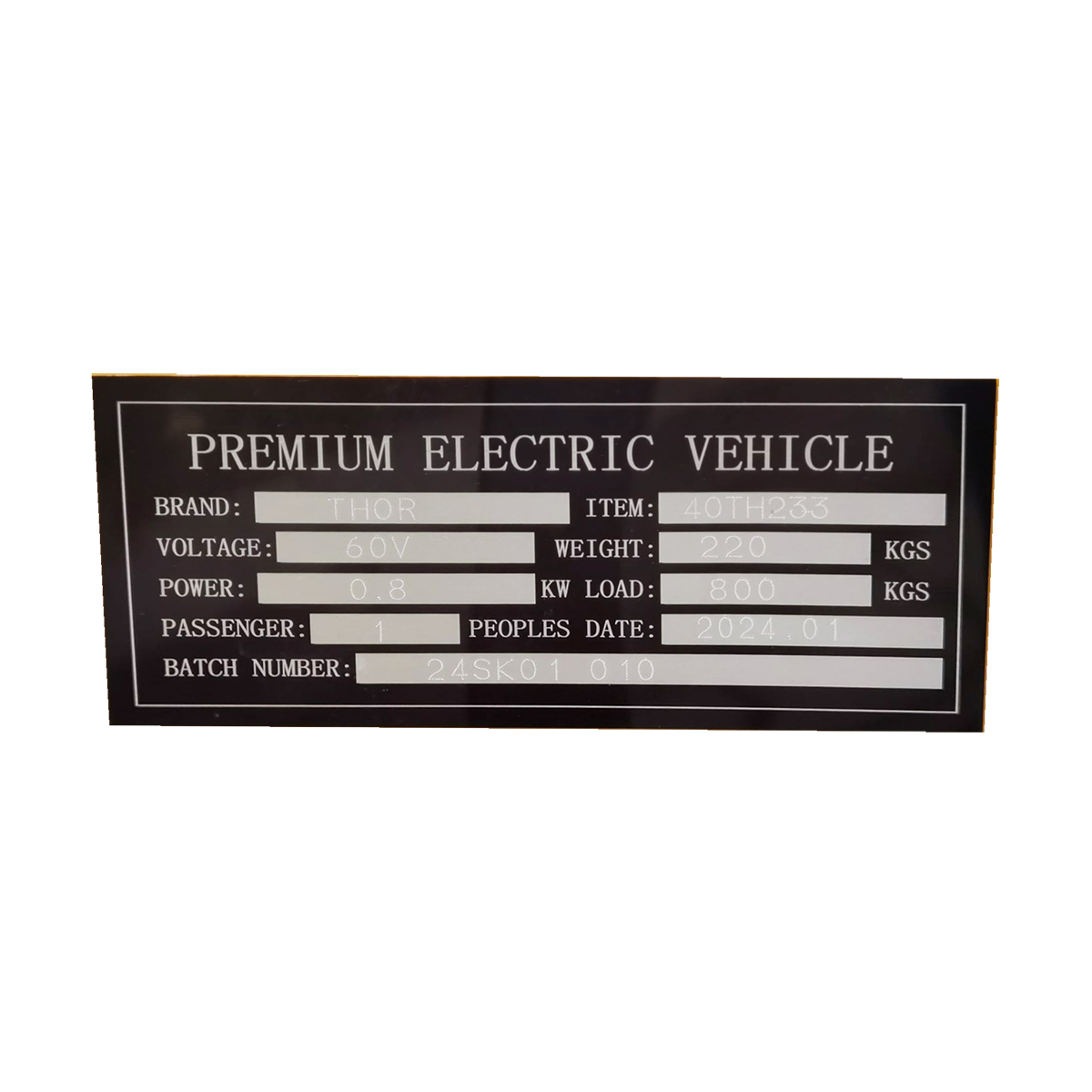 Platforma mobila ridicare electrica 800W, 60V, 170x100cm sarcina maxima 800Kg THOR - imagine 7