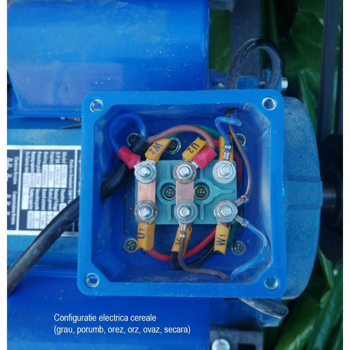 Tocator furaje 2.2KW, 220V, turatie 3600 r/min, capacitate 1000 Kg/h, 3 site incluse Baisan - imagine 16