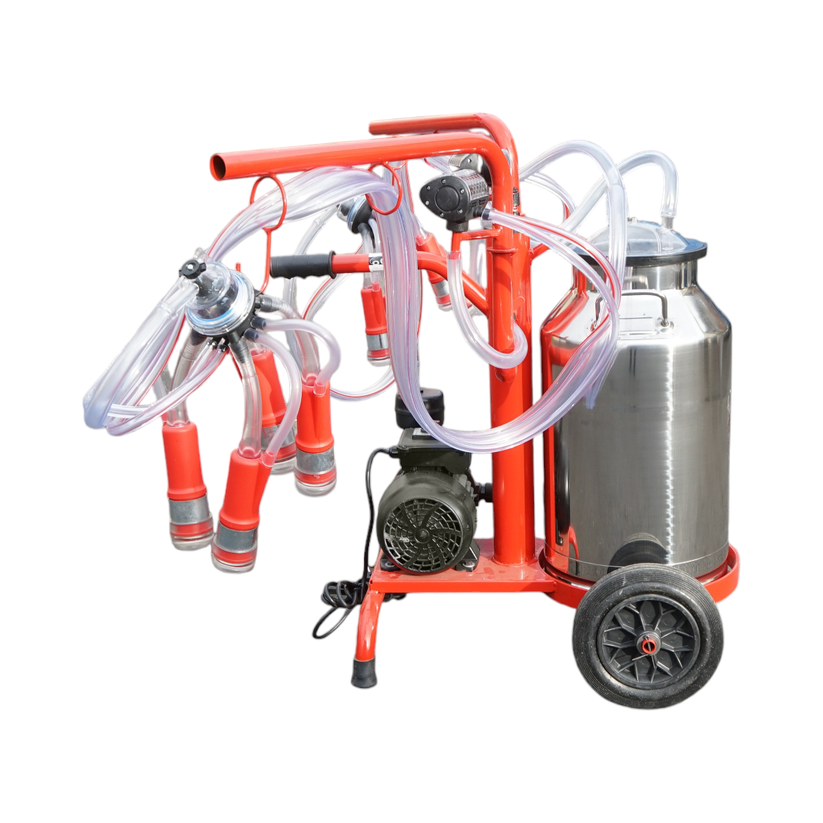 Aparat de muls vaci 2 posturi bidon 40L inox cu vid in cadru(vacuum) Breckner Germany - imagine 2