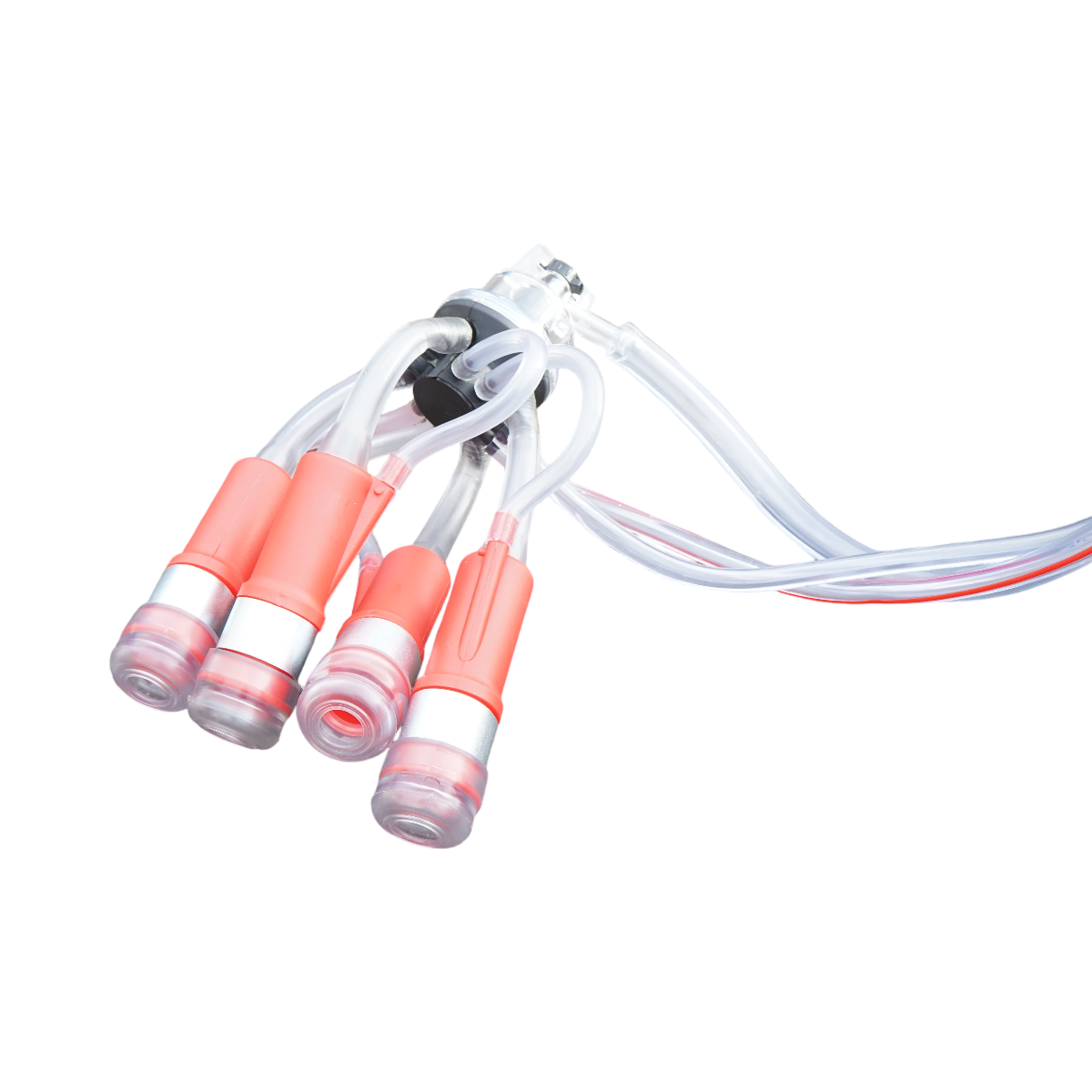 Aparat de muls vaci 2 posturi bidon 40L inox cu vid in cadru(vacuum) Breckner Germany - imagine 9