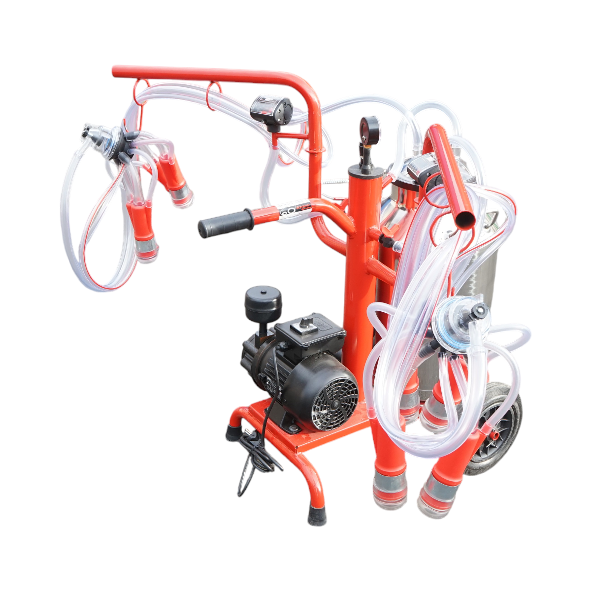 Aparat de muls vaci 2 posturi bidon 40L inox cu vid in cadru(vacuum) Breckner Germany - imagine 4