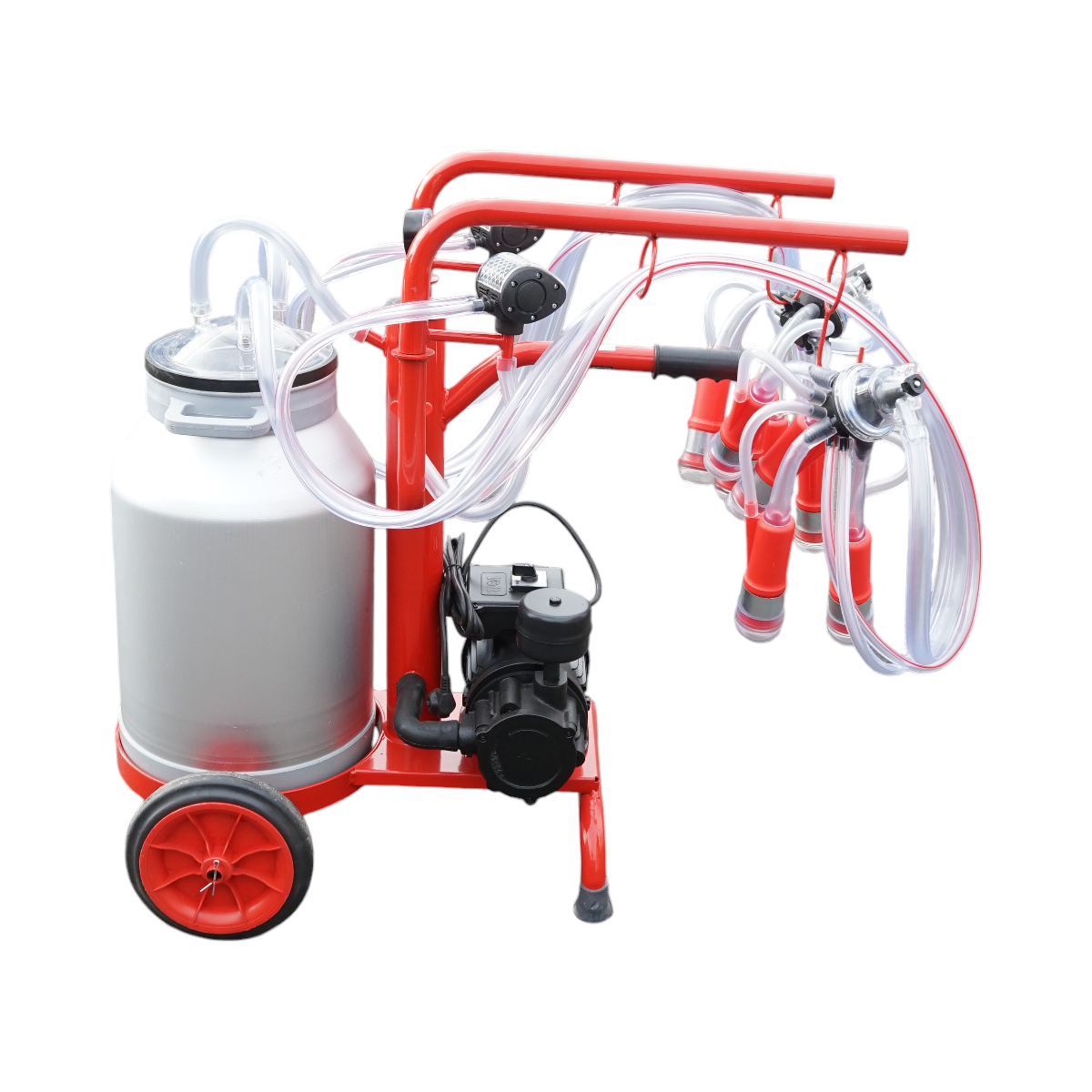 Aparat de muls vaci 2 posturi bidon 40L aluminiu cu vid in cadru(vacuum)  Breckner Germany - imagine 4