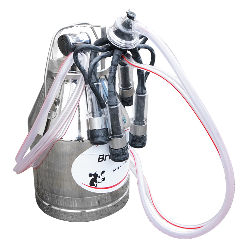 Bidon de inox 30L pentru muls germicidal Breckner Germany - imagine 3