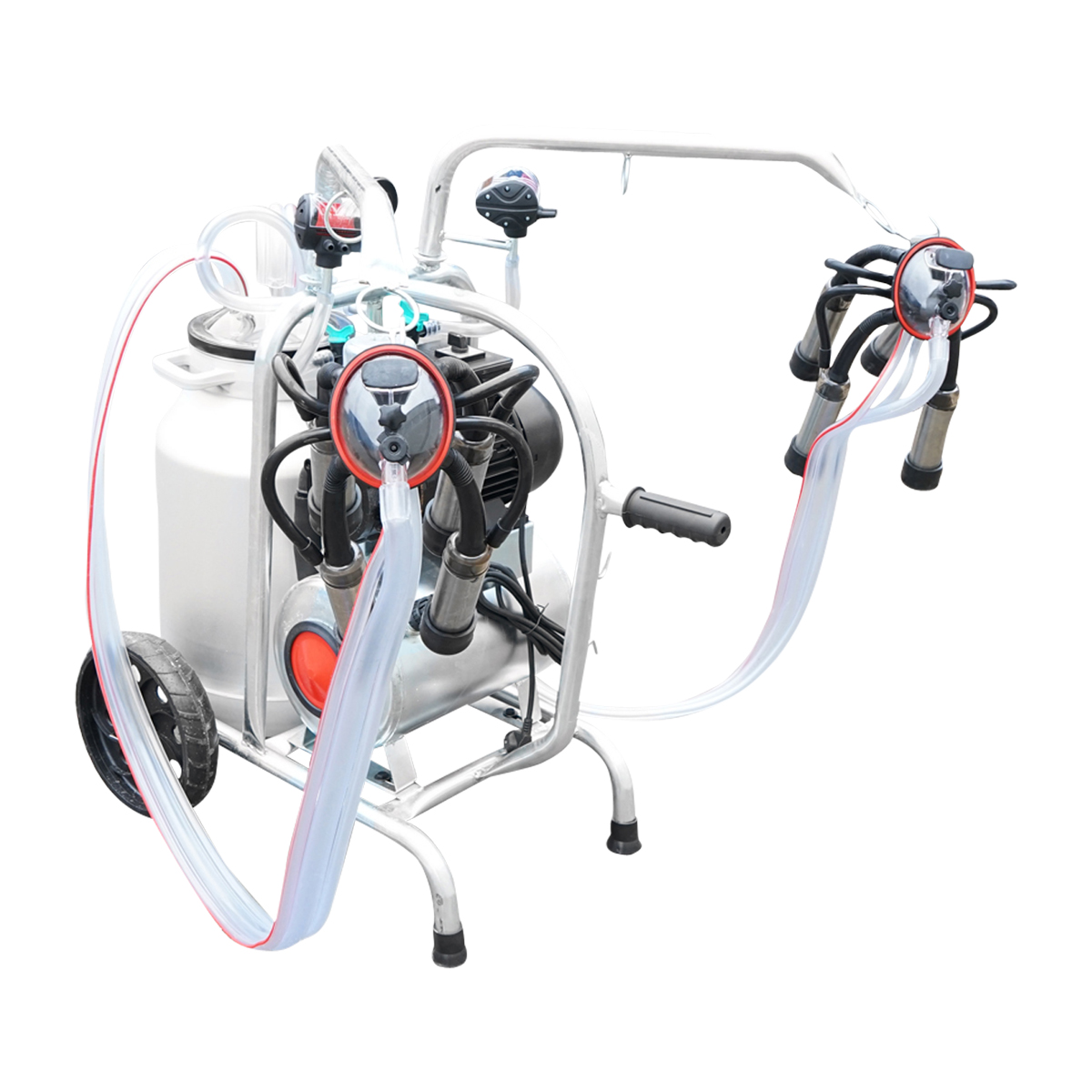 Aparat de muls vaci cu grup colector 160cc sasiu galvanizat bidon aluminiu 40L 2 posturi Breckner Germany - imagine 6