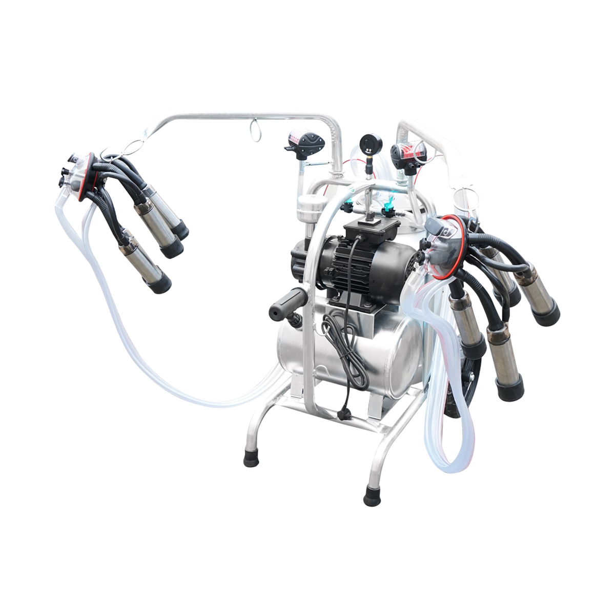 Aparat de muls vaci cu grup colector 160cc sasiu galvanizat bidon aluminiu 40L 2 posturi Breckner Germany - imagine 8