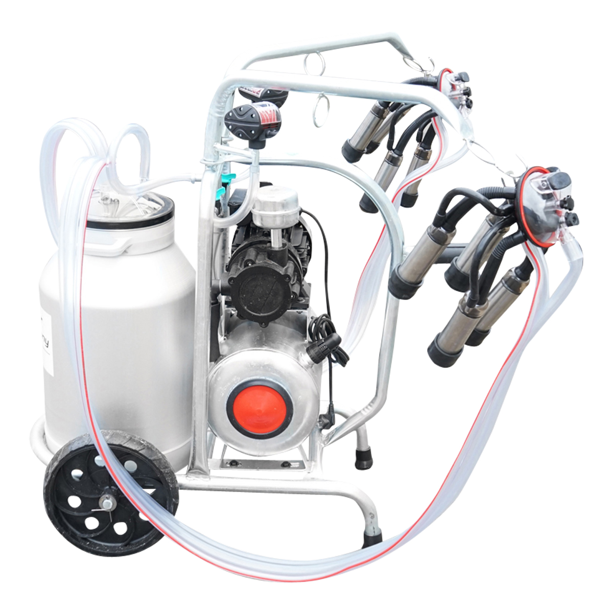 Aparat de muls vaci cu grup colector 160cc sasiu galvanizat bidon aluminiu 40L 2 posturi Breckner Germany