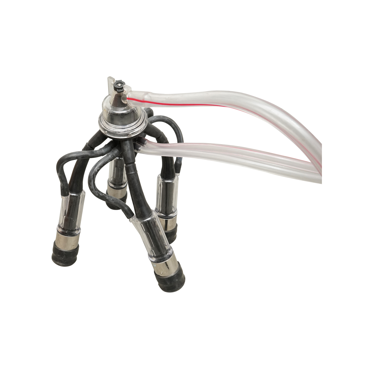 Aparat de muls vaci cu grup colector 160cc, sasiu galvanizat, bidon inox 40L, 2 posturi Breckner Germany - imagine 8
