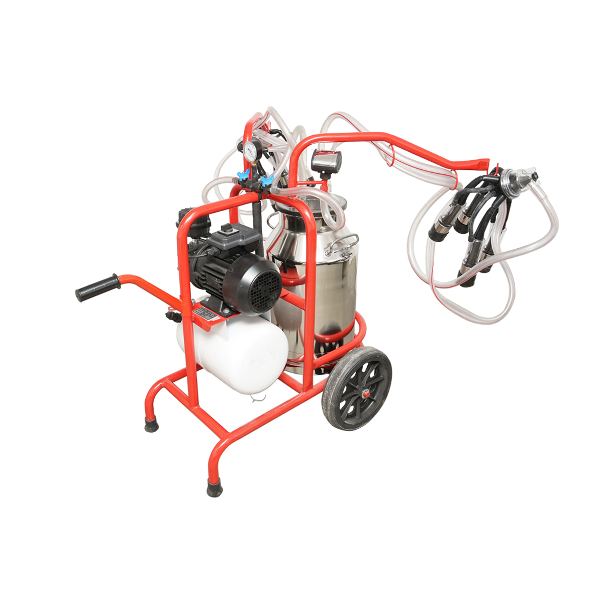 Aparat de muls vaci cu grup colector 160cc, sasiu galvanizat, bidon inox 40L, 2 posturi Breckner Germany - imagine 4