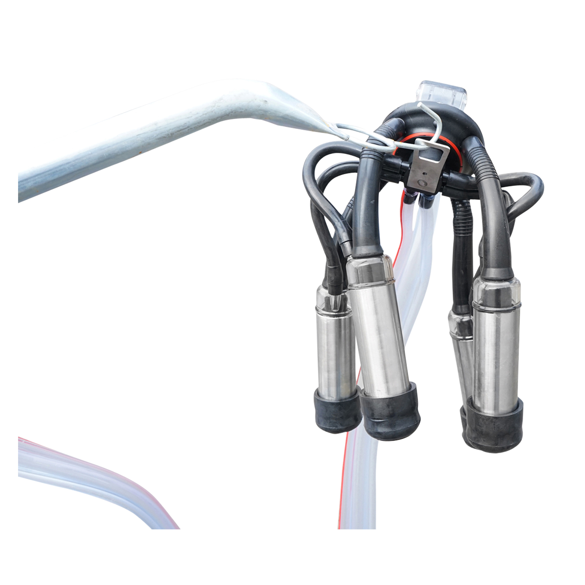 Aparat de muls vaci cu grup colector 160cc, sasiu galvanizat, bidon aluminiu 30L, 1 post Breckner Germany - imagine 10