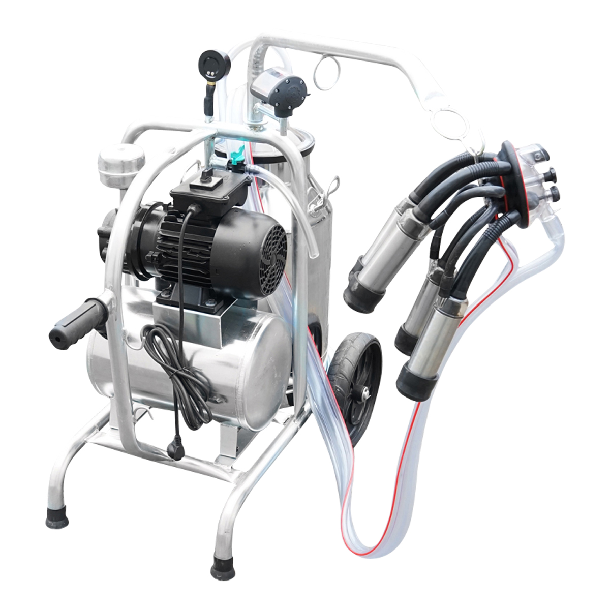 Aparat de muls vaci cu grup colector 160cc, sasiu galvanizat, bidon inox 30L, 1 post Breckner Germany - imagine 7