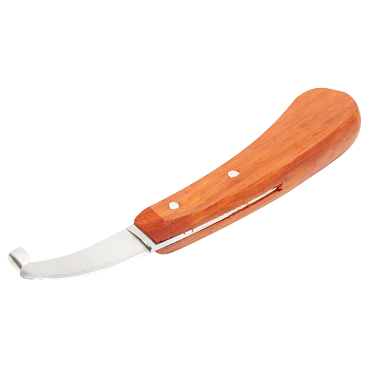 Reneta profesionala pentru curatarea ongloanelor si copitelor la cabaline Breckner Germany