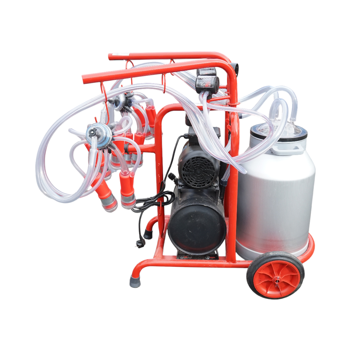 Aparat de muls vaci cu 2 posturi, bidon aluminiu 40L, rezervor vid si pompa uscata Breckner Germany - imagine 2