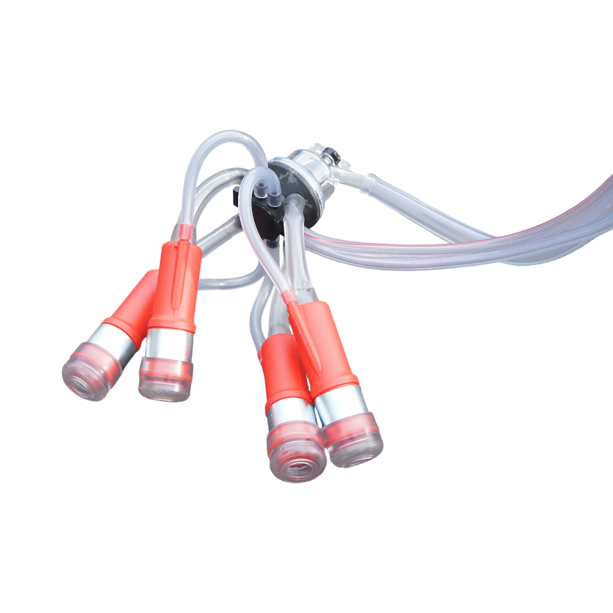 Aparat de muls vaci cu 2 posturi, bidon aluminiu 40L, rezervor vid si pompa uscata Breckner Germany - imagine 9