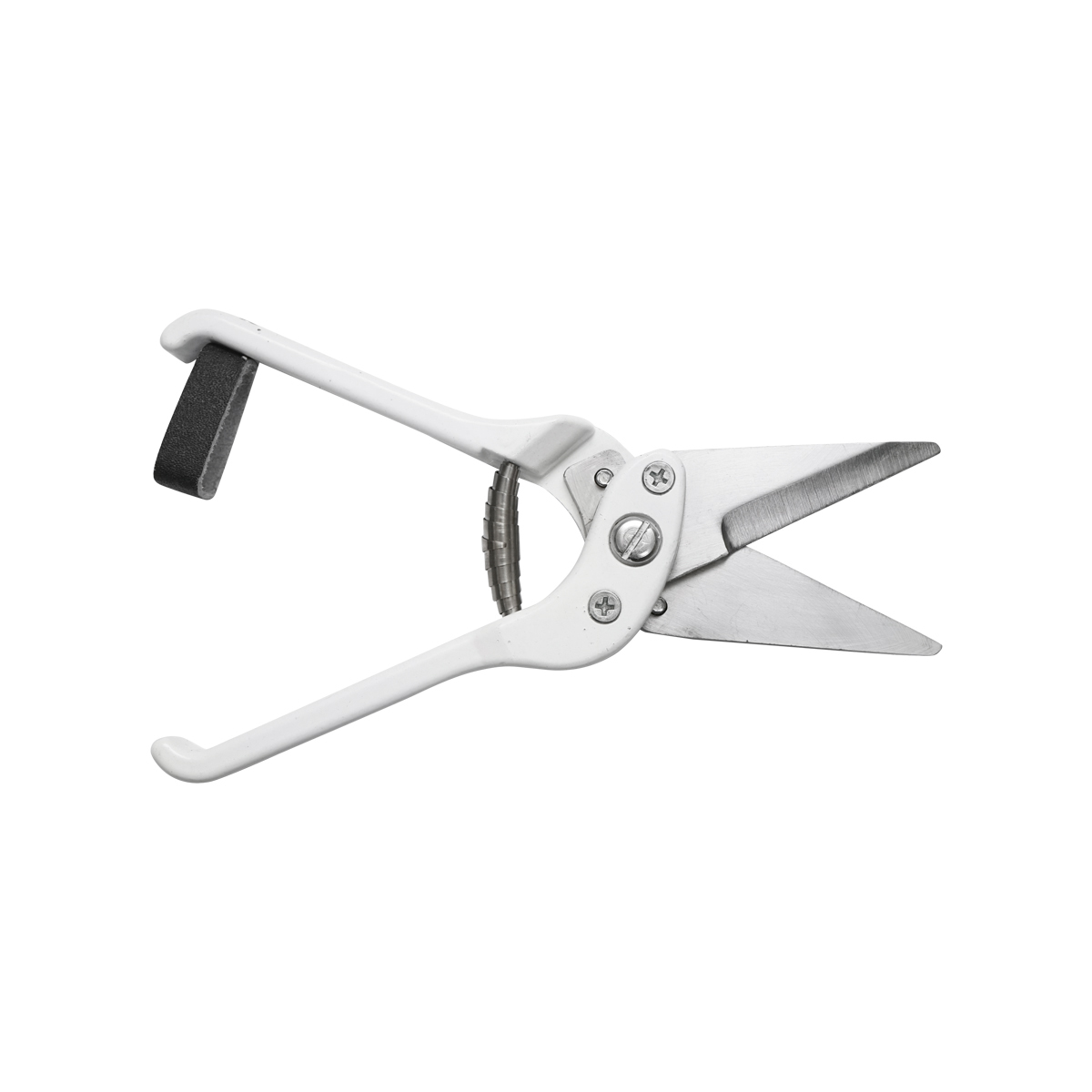 Foarfeca de unghii cu lama dreapta pentru oi si capre Breckner Germany - imagine 4