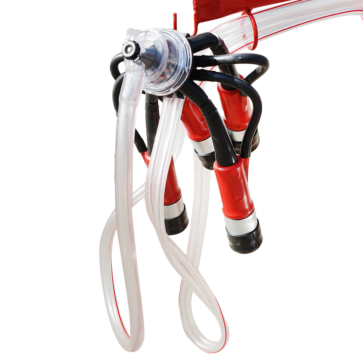 Aparat de muls vaci 2 posturi bidon 30L inox cu vid in cadru(vacuum) Breckner Germany - imagine 7