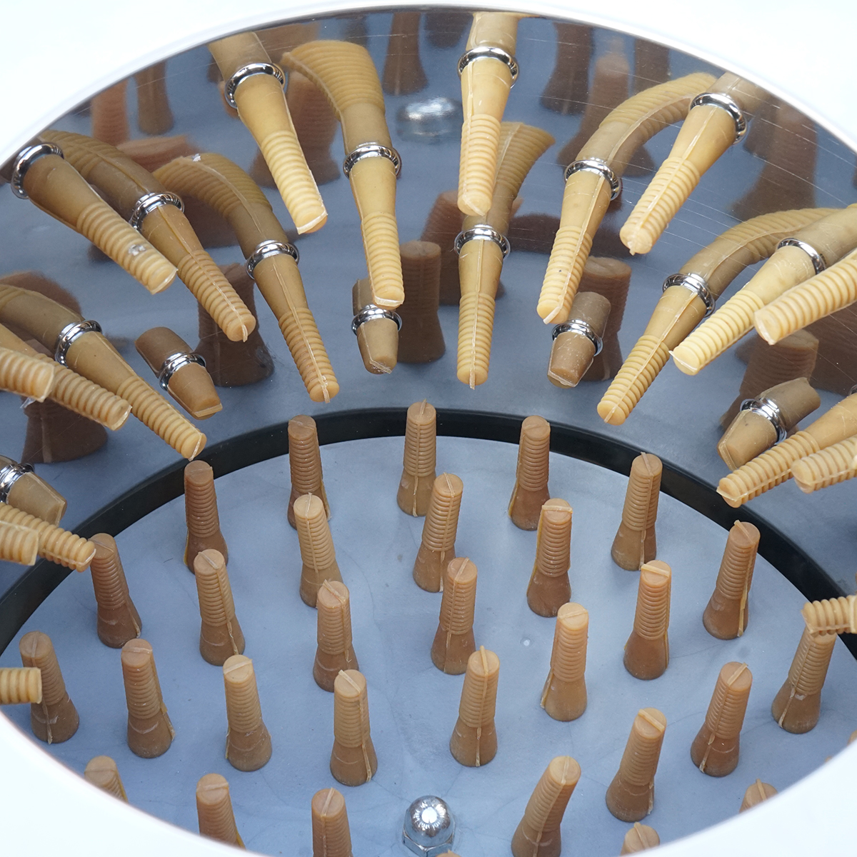 Deplumator pasari inox 1500W, 220V capacitate max. 4 pasari, 157 degete, 180 r/min IP68 - imagine 6