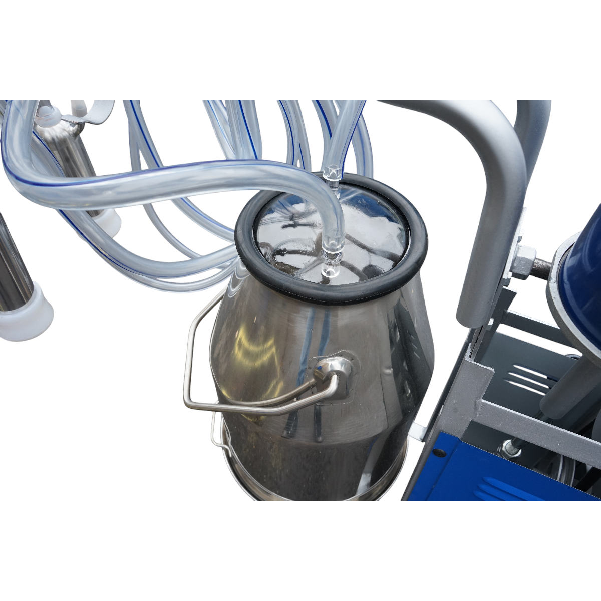 Aparat de muls vaci 1 post 550W, 220V bidon inox 25L, grup de muls cu 4 mansoane, presiune vid 40-50 kPa, pulsatii 64 cpm - imagine 9