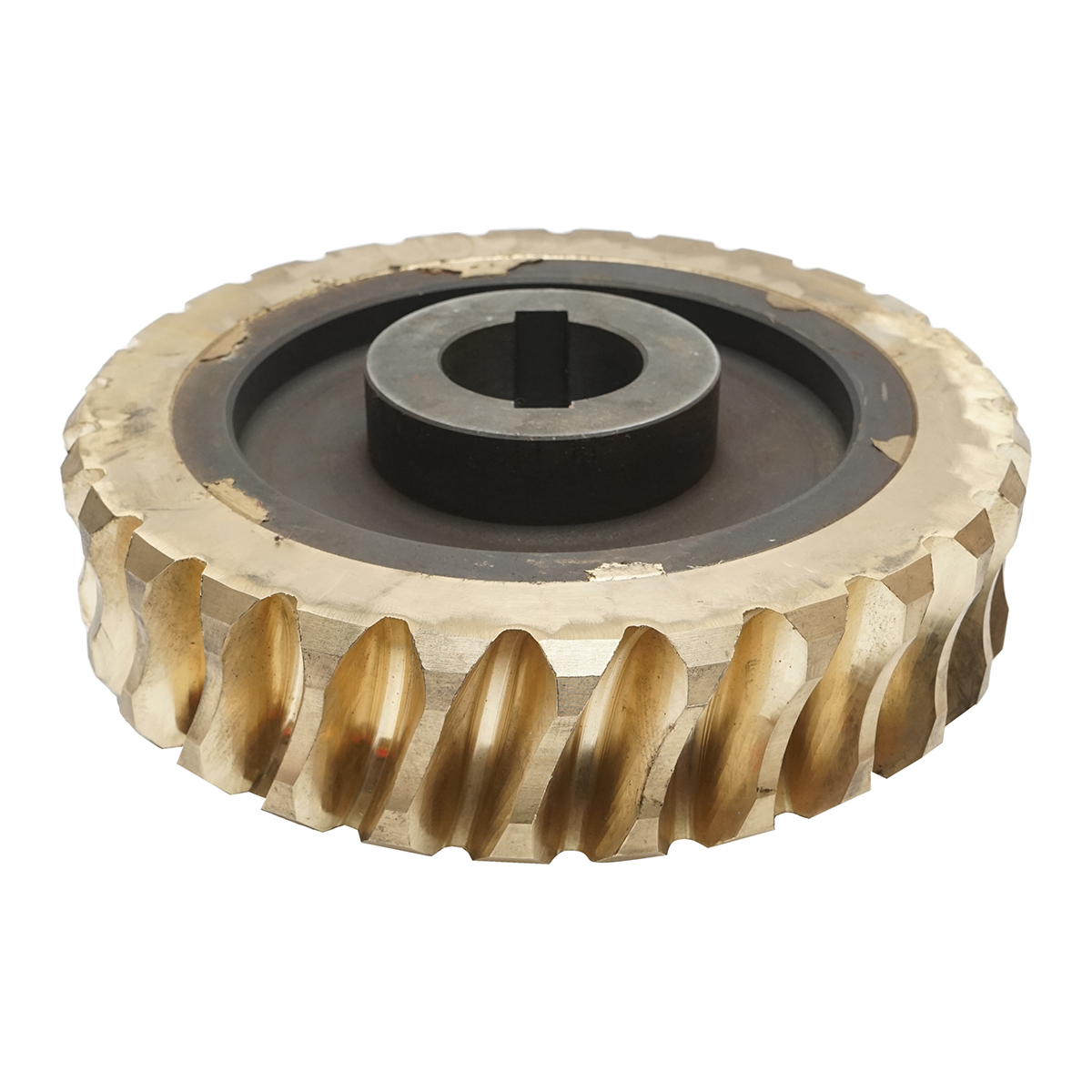 Pinion bronz pentru troliu Tractor Forestier