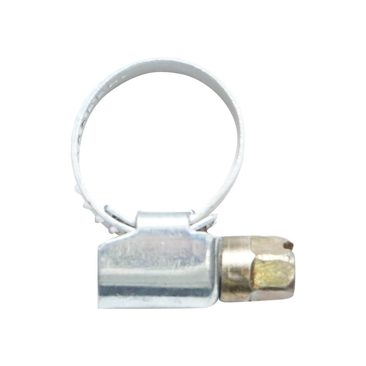 Colier furtun inox reglabil 12-20A - imagine 3