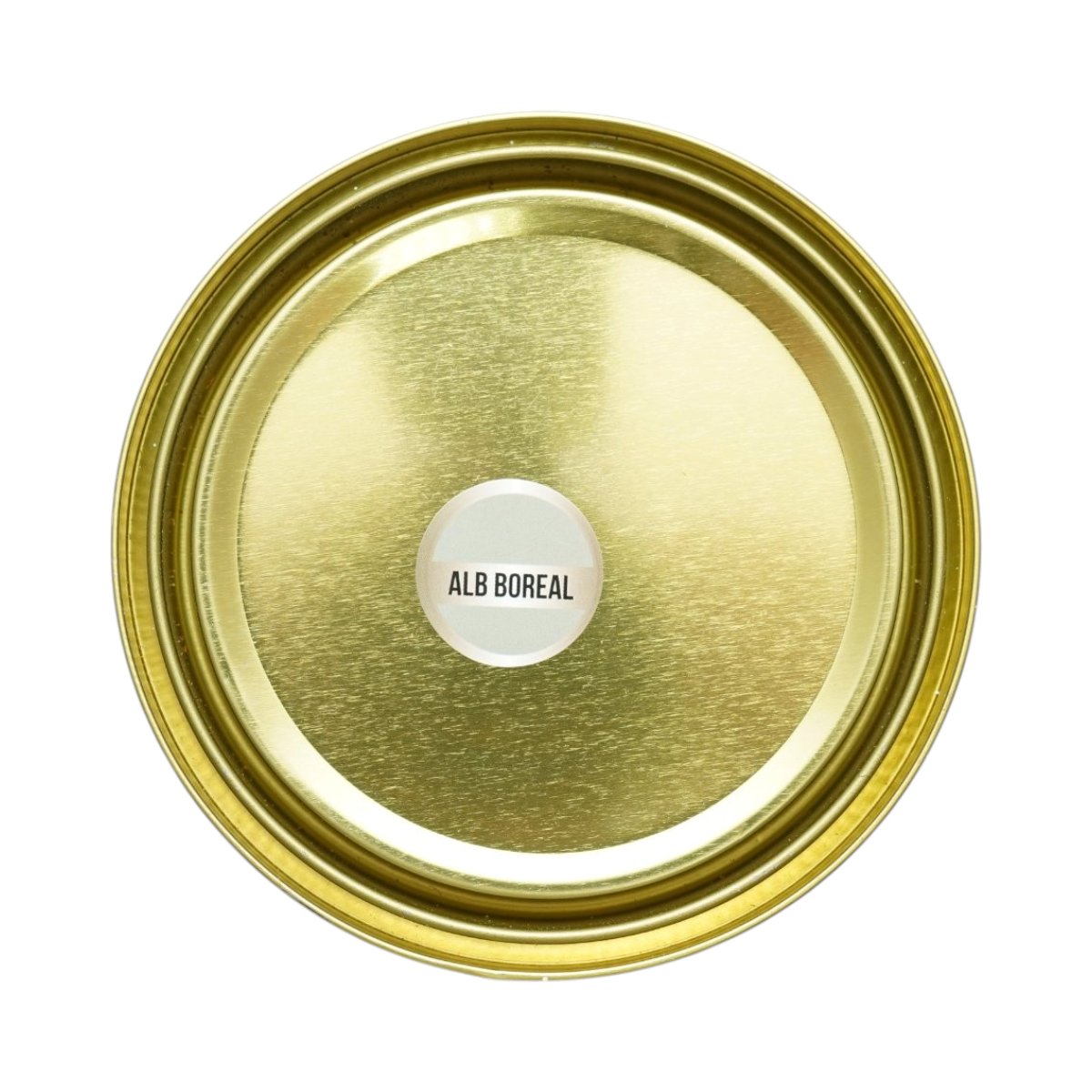Vopsea email anticoroziva 3 in 1 pentru metal, direct pe rugina, pe baza de apa, alb boreal 750g Breckner Germany - imagine 5