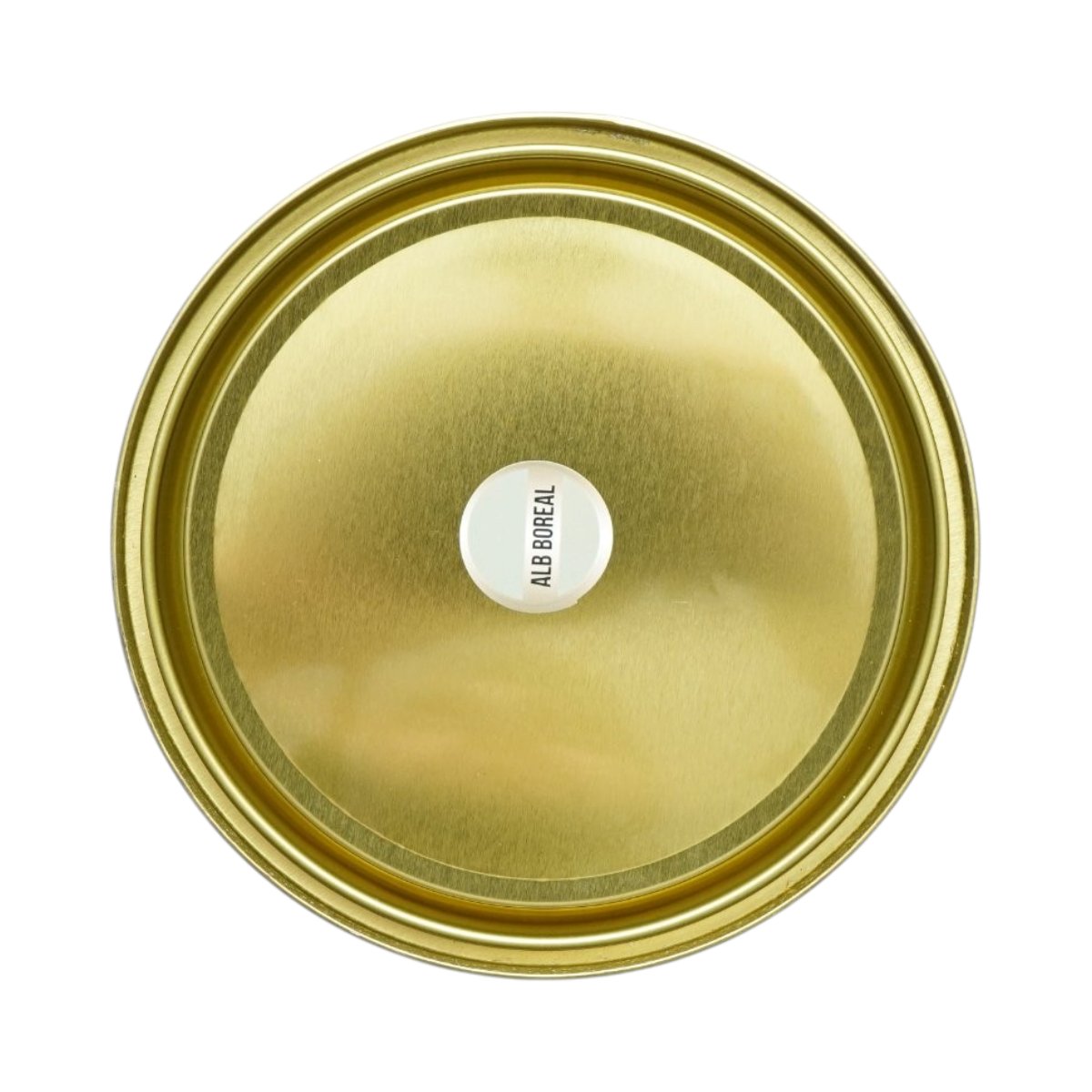 Vopsea email anticoroziva 3 in 1 pentru metal, direct pe rugina, pe baza de apa, alb boreal 2000g Breckner Germany - imagine 5