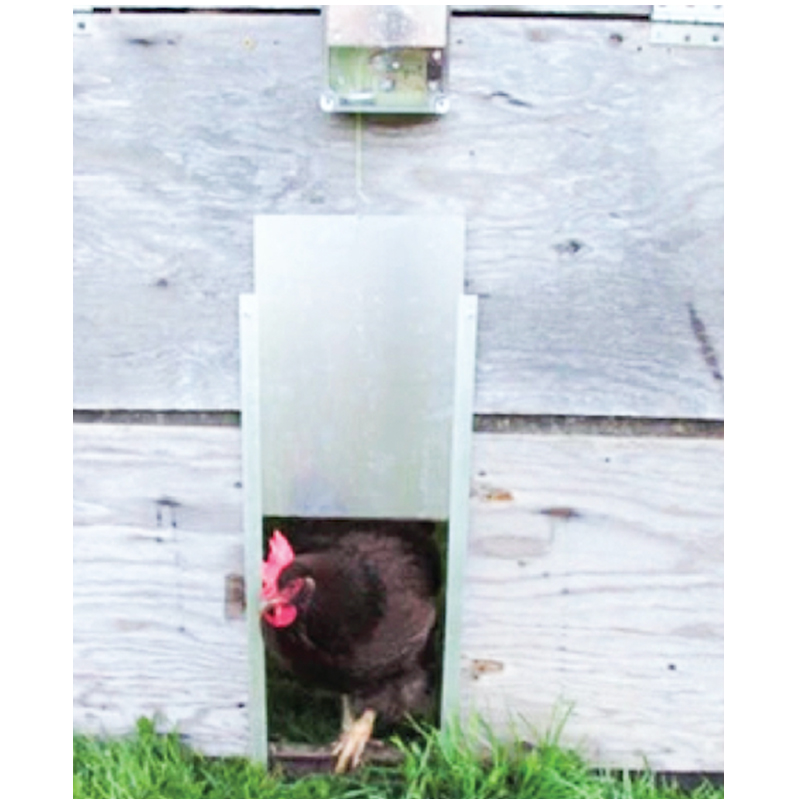 Usa cotet gaini, pisici, caini automatizata 600x240x10mm aluminiu baterie 4AA