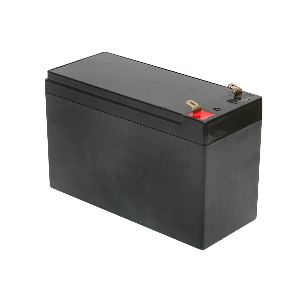 Baterie (acumulator) pentru pompa de stropit vermorel 12L Breckner Germany - imagine 3