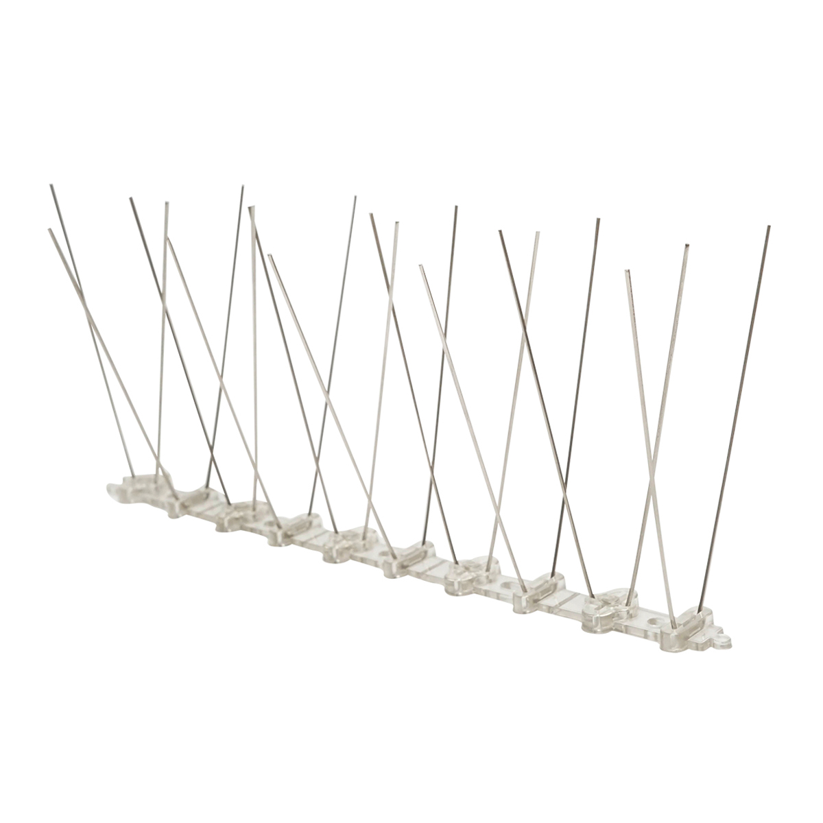 Banda cu 10 spini, tepi anti-pasari Baisan - imagine 2